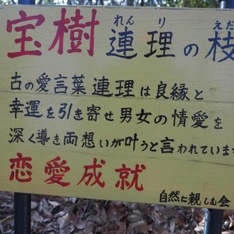 連理についての説明