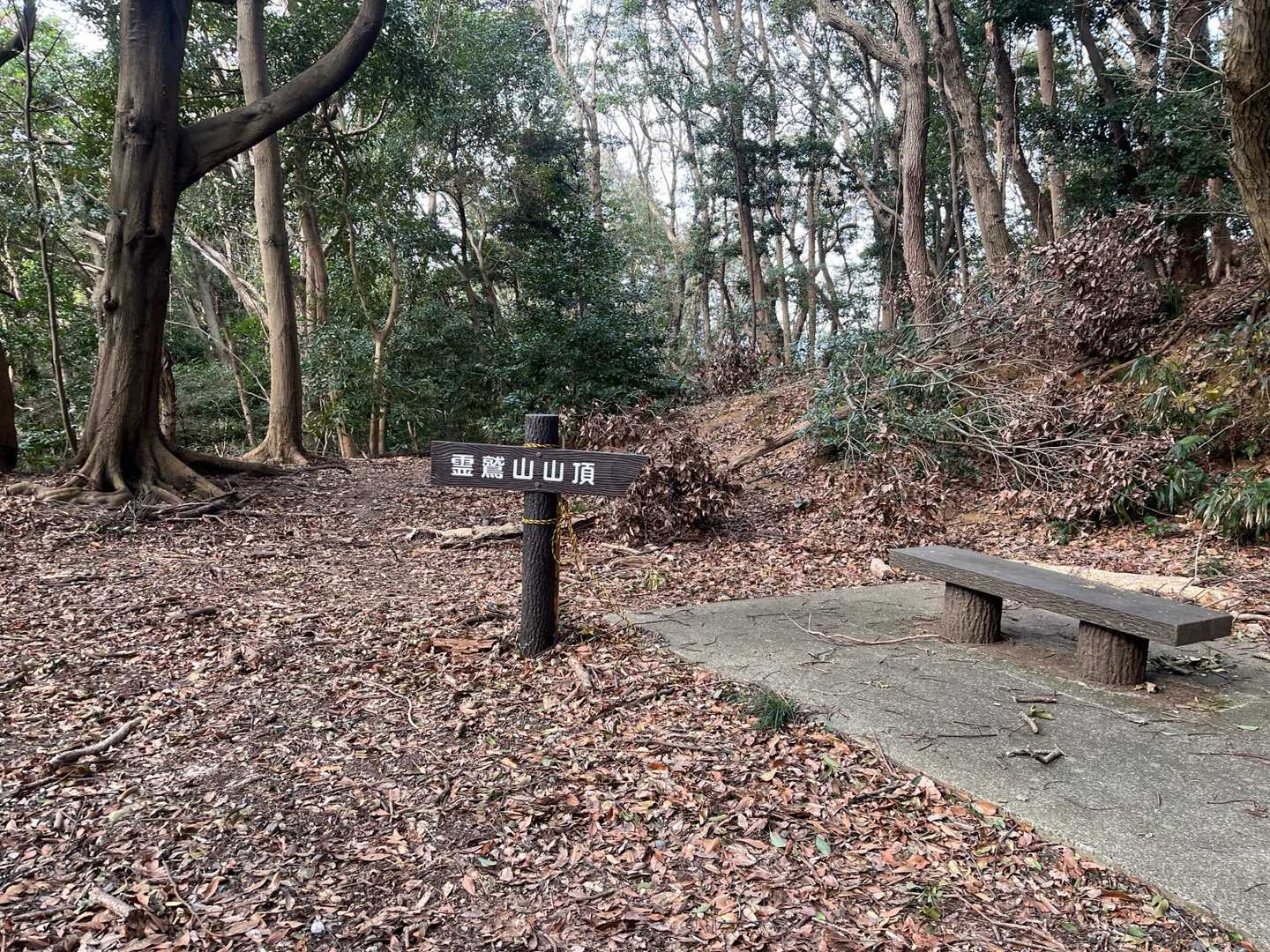 ここから下ノ山へ