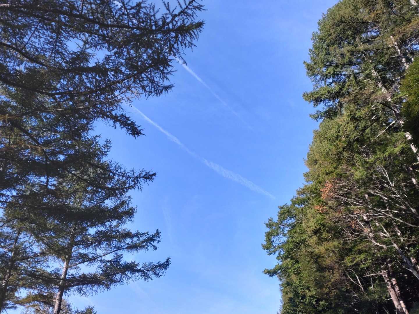 塩見岳往復 | 日本一高い峠から、南アルプスのヘソと呼ばれる絶景尽くしの百名山への写真