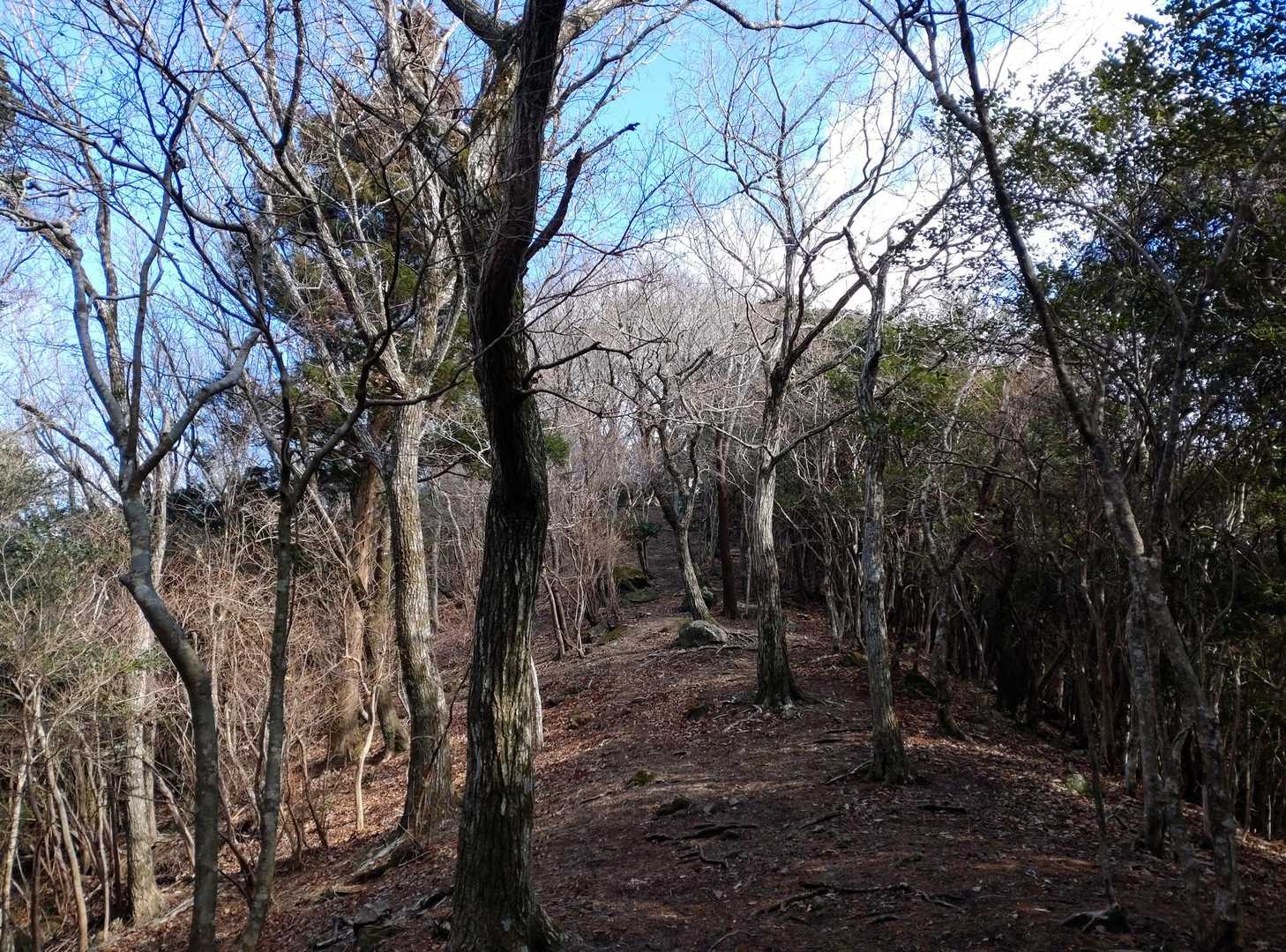 下ってからのやや登り。。