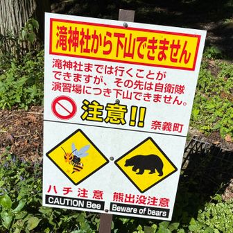 無事下山😄
次は滝神社⛩️を目指したいです💪
