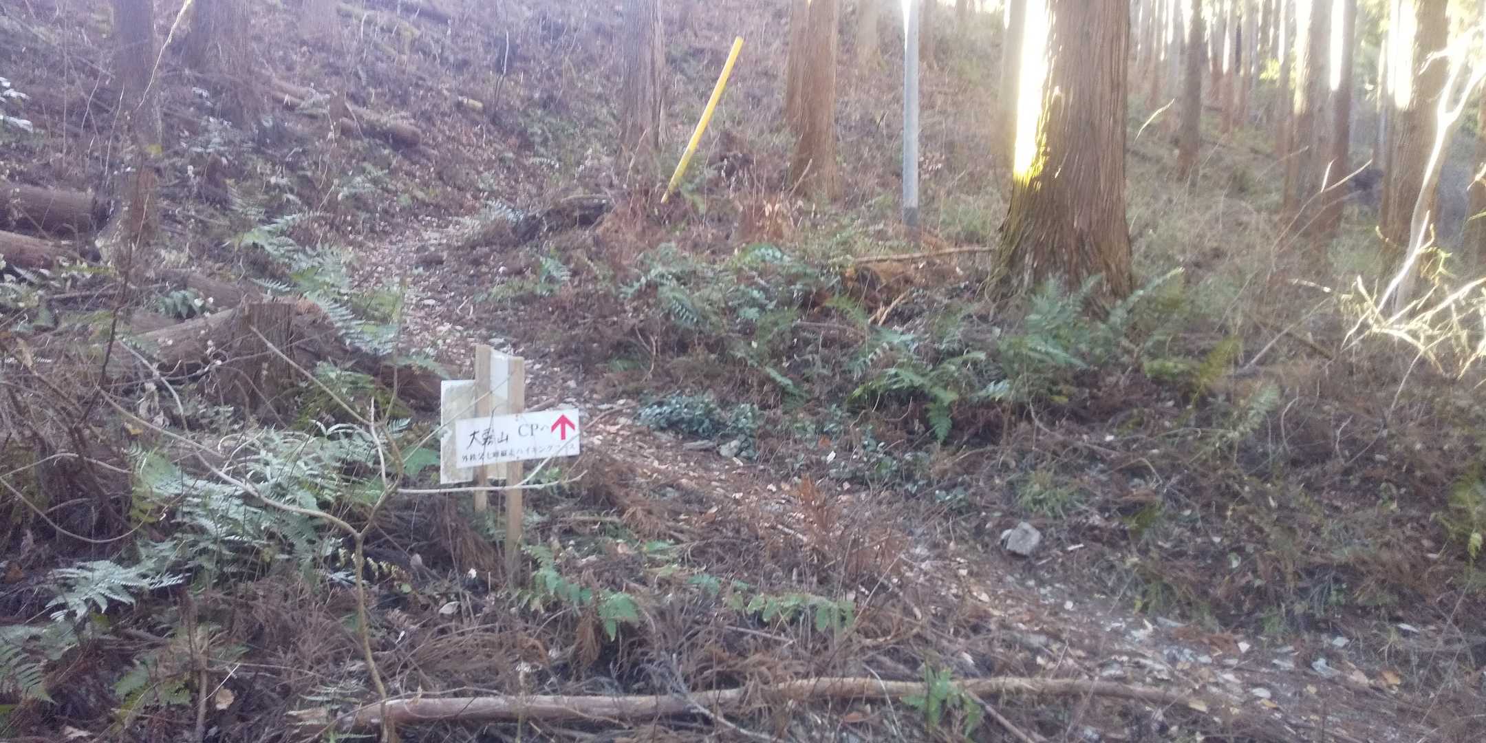 中々の急登です😥