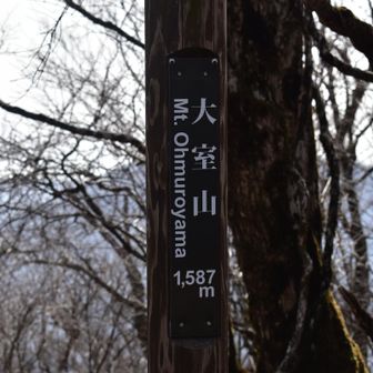 大室山山頂
眺望はありません