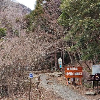 中道を行きたかったが時間も遅いので、軟弱ハイカーはそのままスカイラインをテクテク歩く🐢