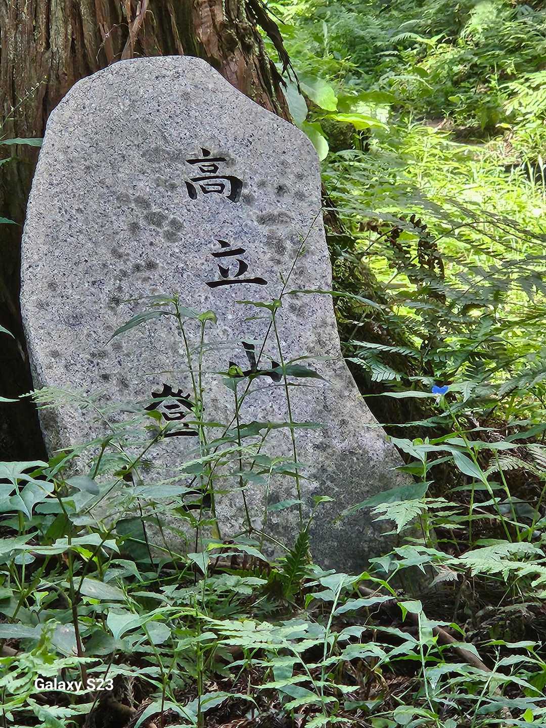 高立山下山
林道歩いて…