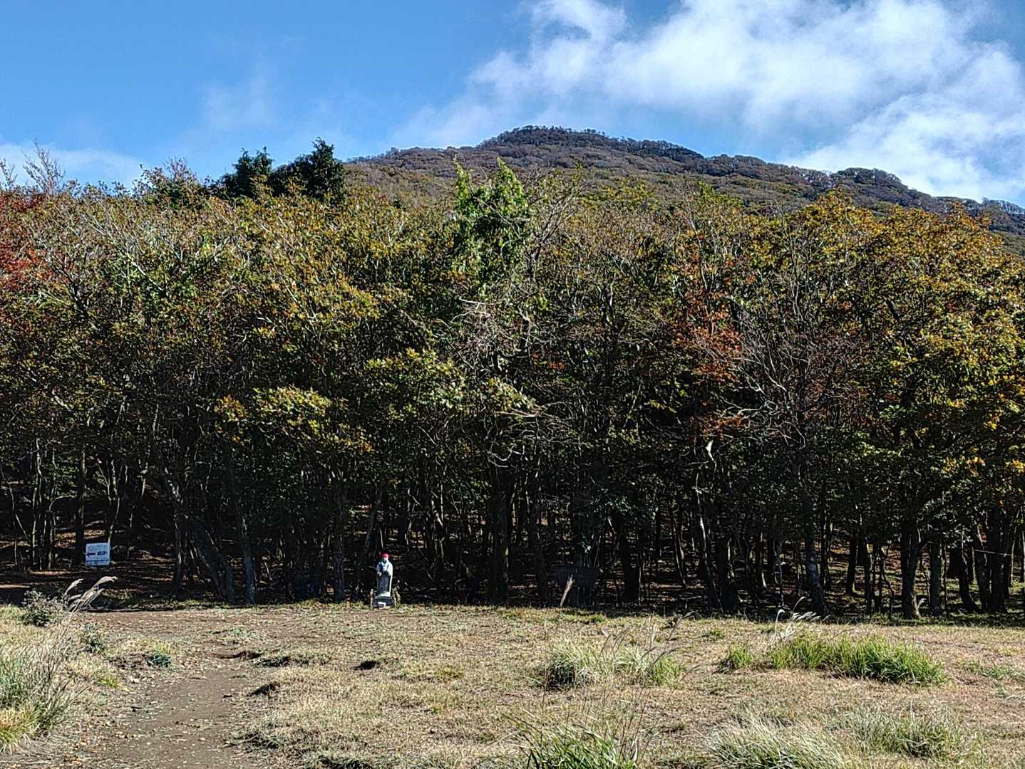 晴れたね〜
樹氷なくなっちやったね〜