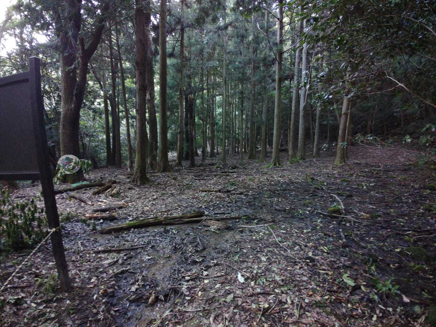 ってナーンも残ってません。
所々平坦なトコに石垣があったりしますが、