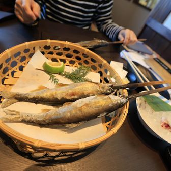 行縢山 今回天然アユは残念でしたが、五ヶ瀬の鮎の片りんを楽しみました