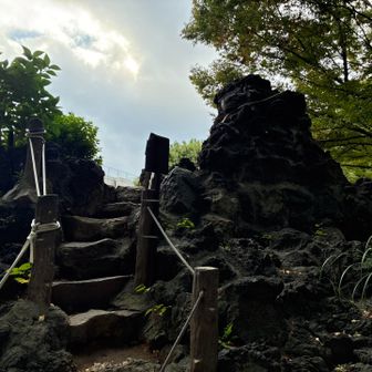 下山道から上がってしまった😅