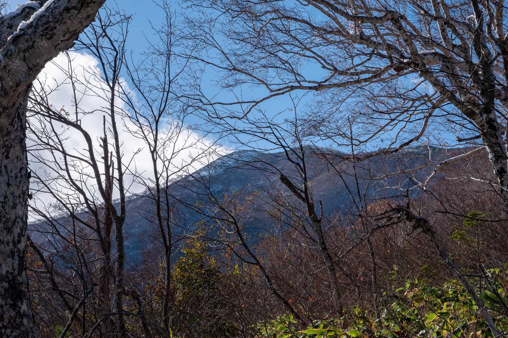 芽室岳が見えてくる