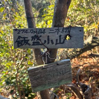⑥飯盛小山　ご飯は小盛りで…ってことかなぁ？