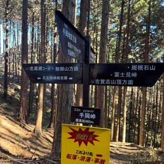 アップダウンして手岡峠

ておかではなく、ちょうかとうげ
なるほど🧐