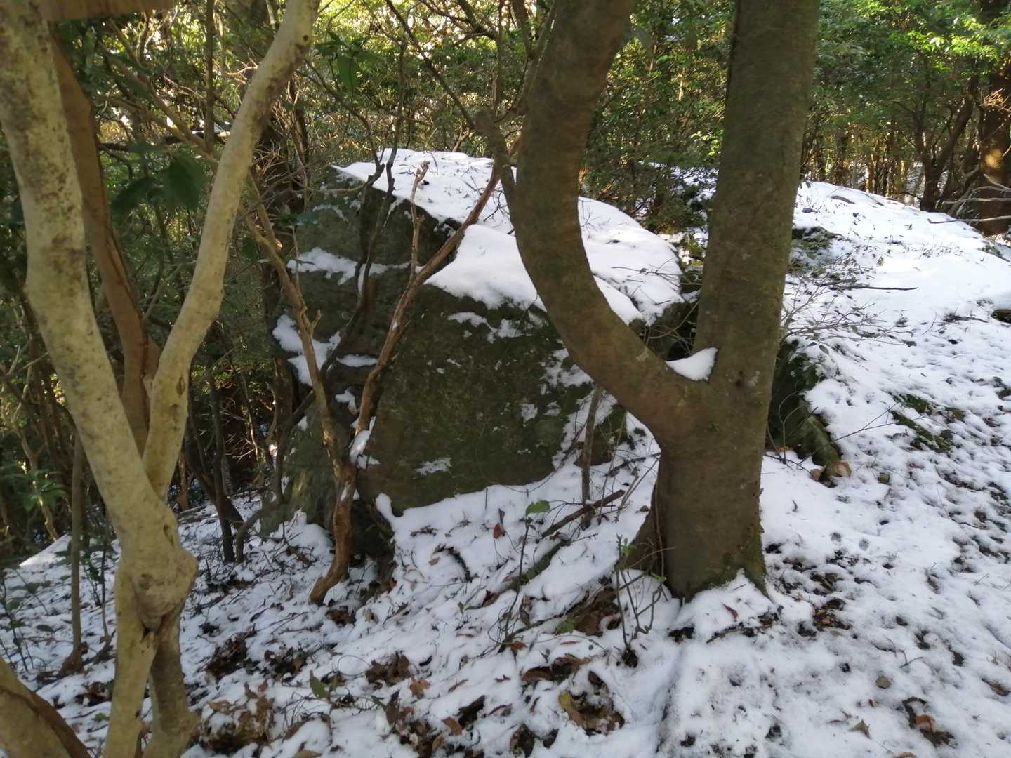 熊尾寺山-鏡石山 往復コースの写真