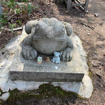 鞍部の無事カエル石