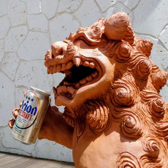 マングローブジャック