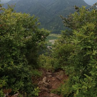 鼻毛通しへとこちらから下山
想定外の激下りだった