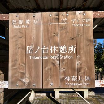 暑いので一枚脱いで仕切り直し