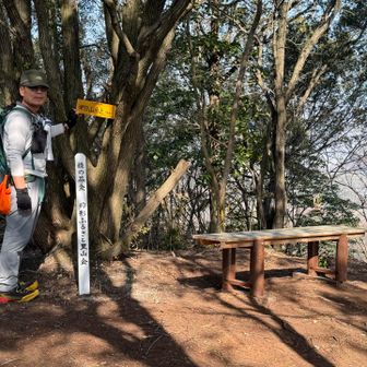 16：永谷山
ここでもぐもぐタイム
登山者2人が先へ行く