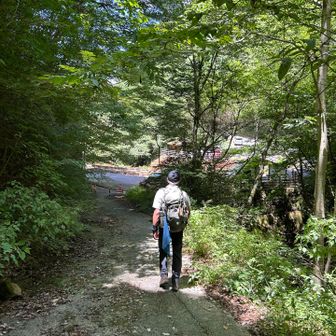登山口見えた
行きにトイレ休憩で寄った道の駅鯛生金山で
水筒を忘れた夫
帰りに回収に行きます