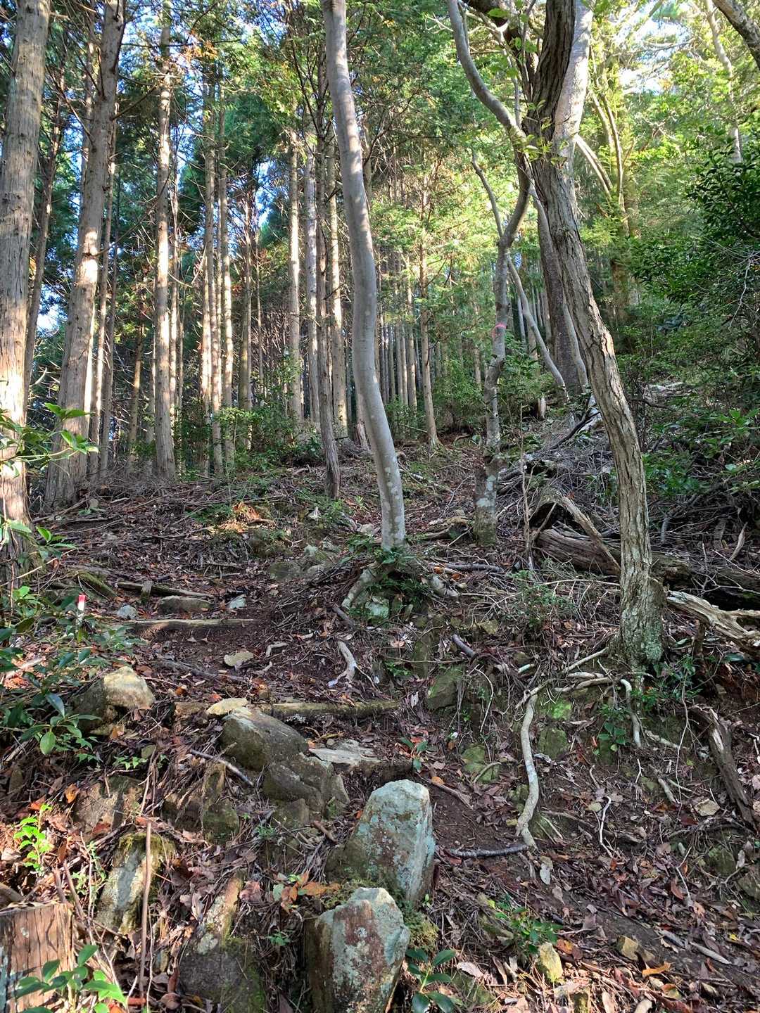 5合目以降はなかなかの急坂が続きます。