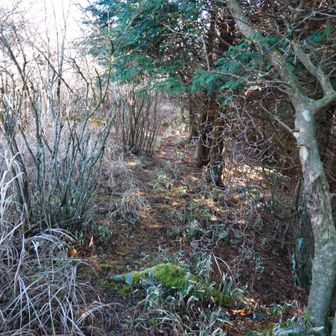 ここから激下りが始まります