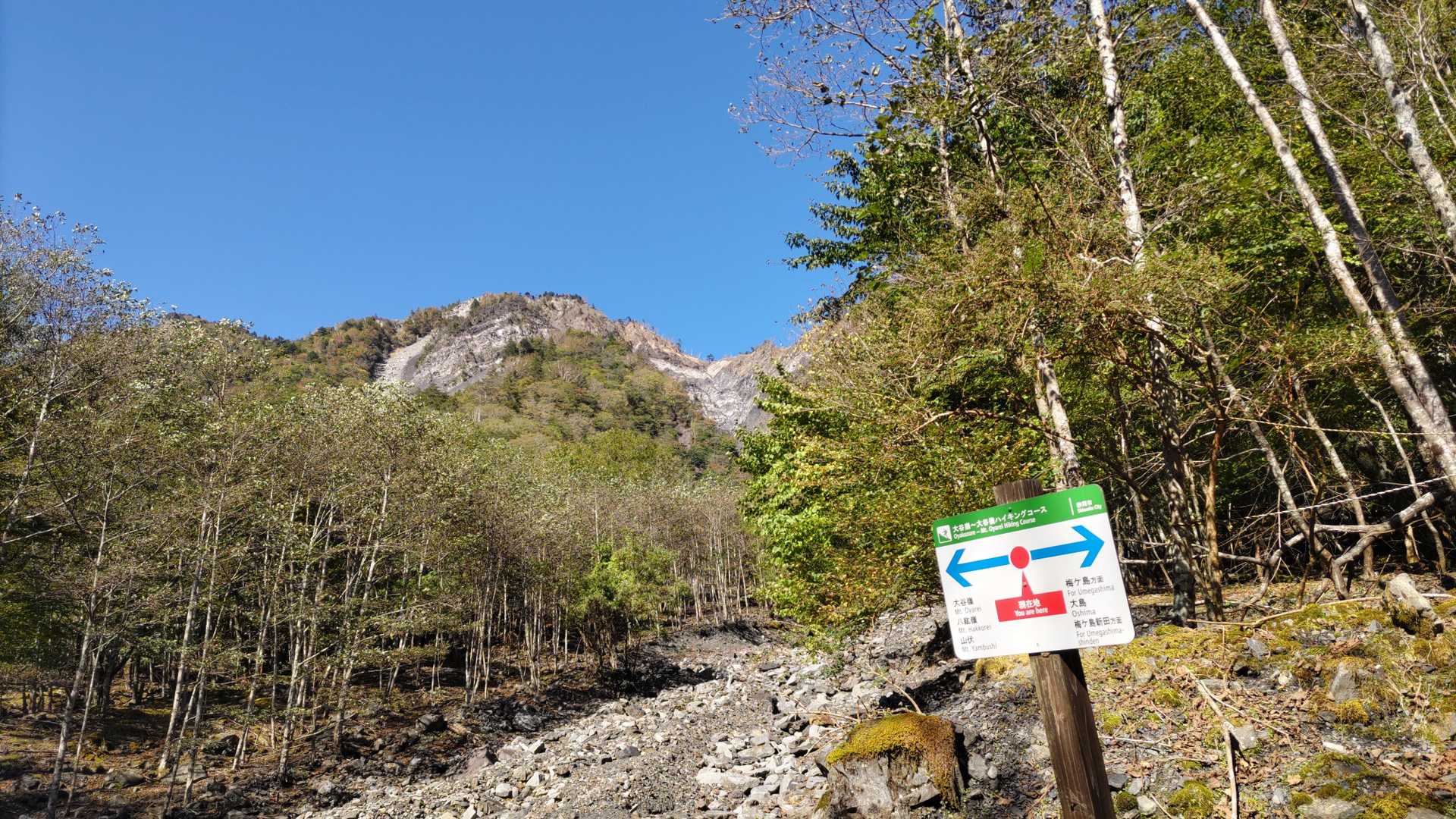 大谷崩登山口-新窪乗越-大谷嶺 往復コースの写真