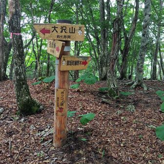 大沢山。ベンチあり