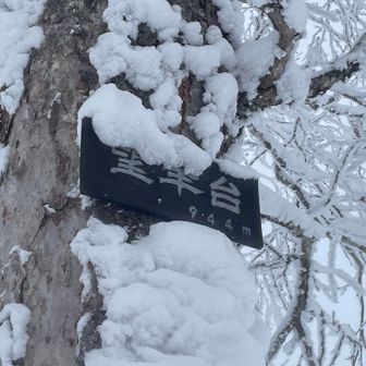 札幌１５０峰、７７番
YAMAPランドマークは無し