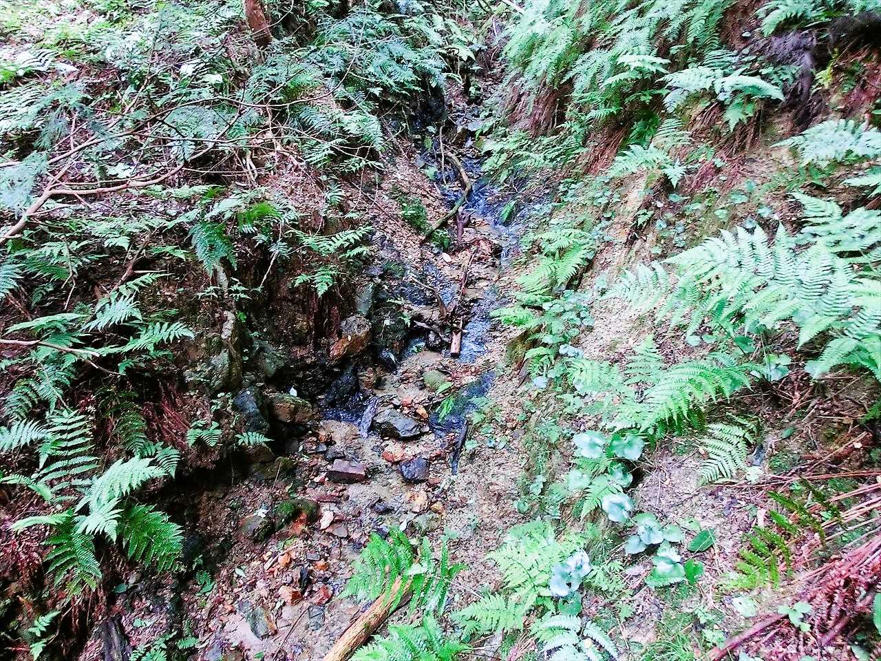 雨山 周回コースの写真