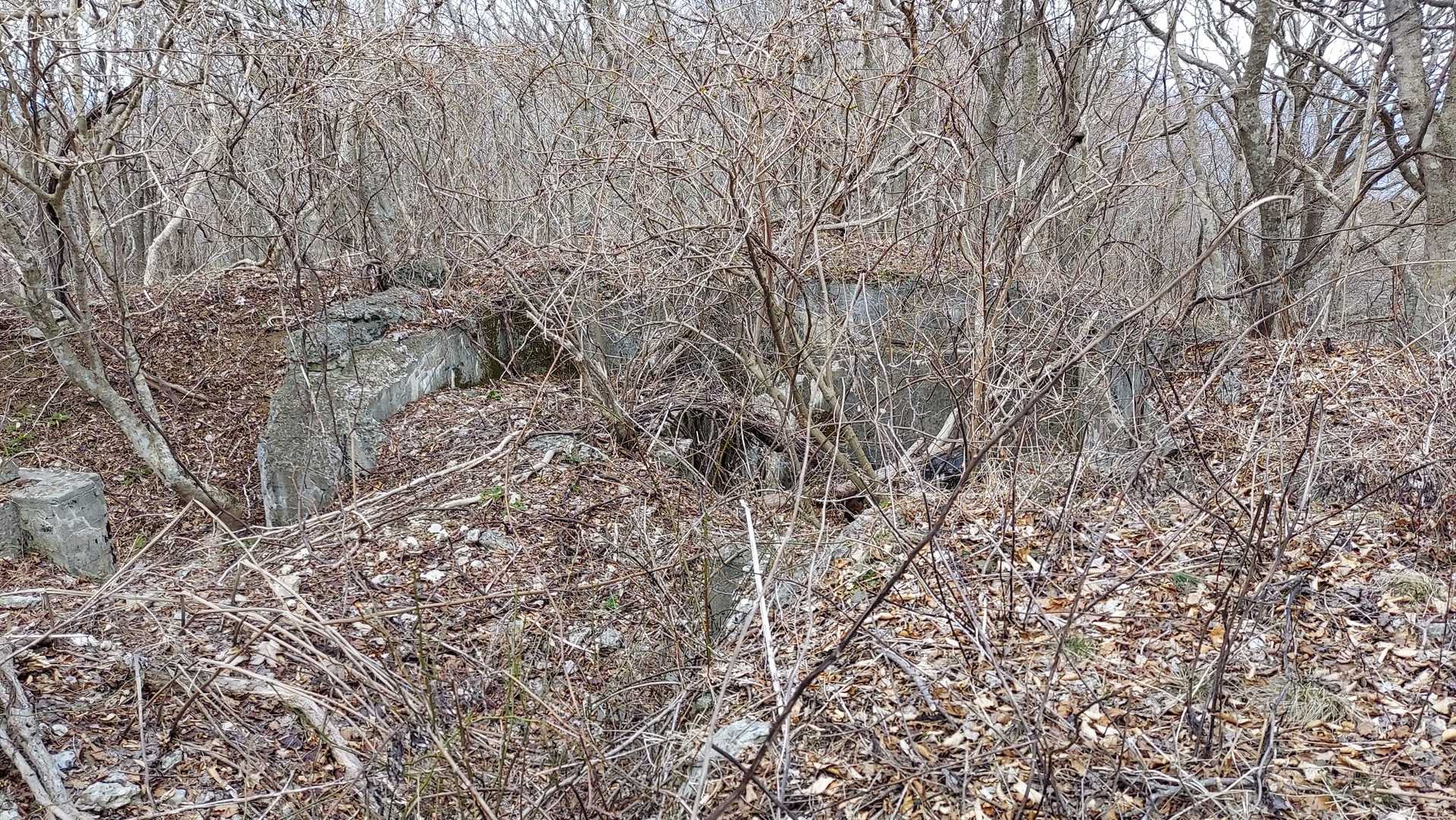 山頂付近
人工物の痕跡…昔なんか建ってたのかな？