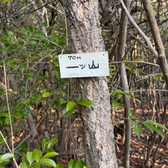 半島の小山、入口はブッシュで分かり難い
