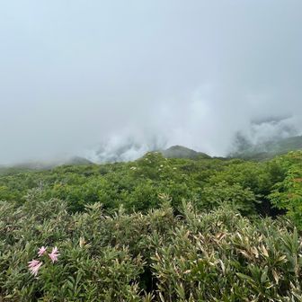真っ白