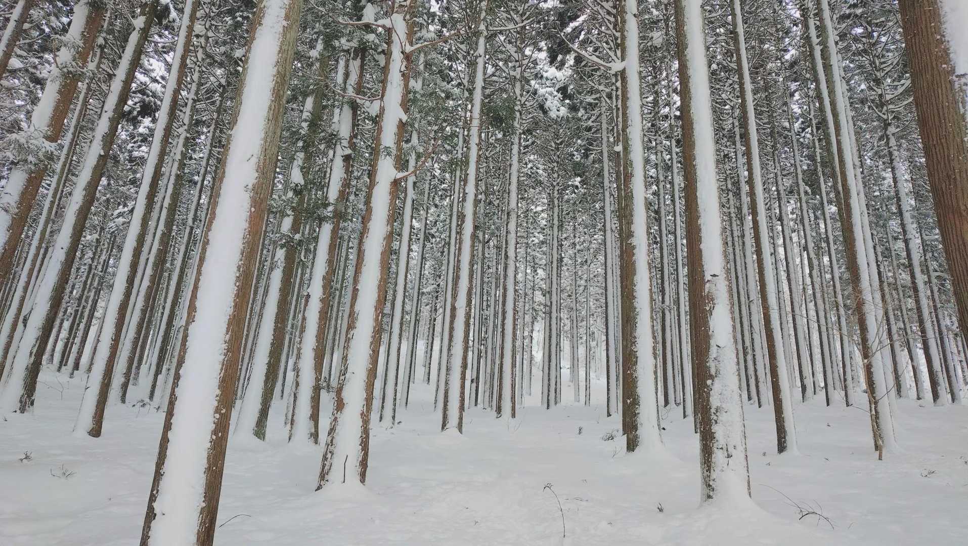 ショートカットで