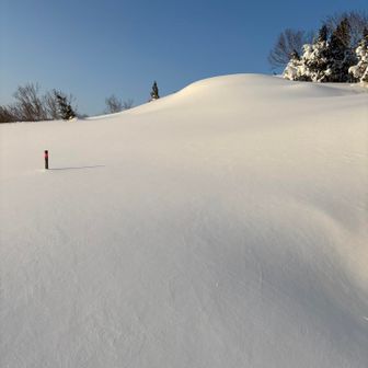 いわかがみ平手前の雪面。ふわふわです。