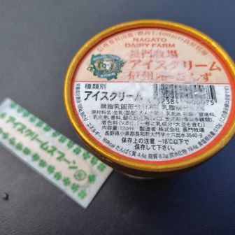 下山スイーツには行きに決めていた長門牧場のカップアイス・あんず味をチョイス😋さっぱりとしたフルーツテイストにこちらも💯🎉