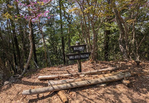 ニの山（兵庫・298m）| 登山ルート・天気 | YAMAP / ヤマップ