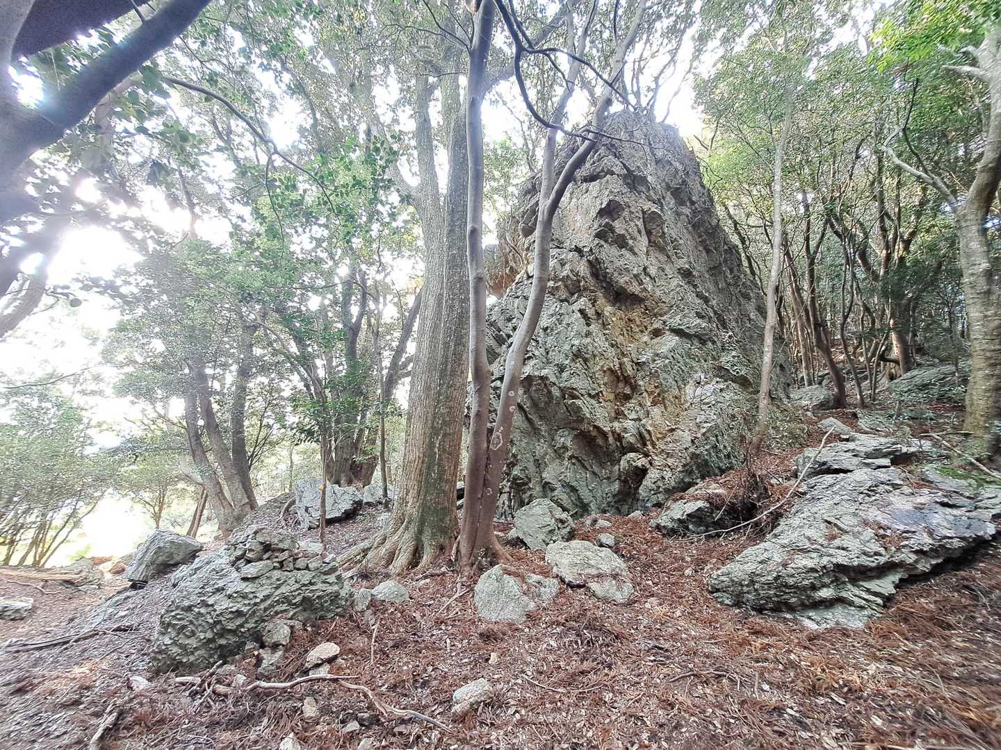 こんな感じ