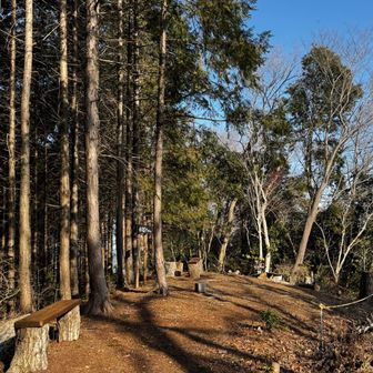 そして山頂。
こっちも開けてます。
新しめのベンチもあり。