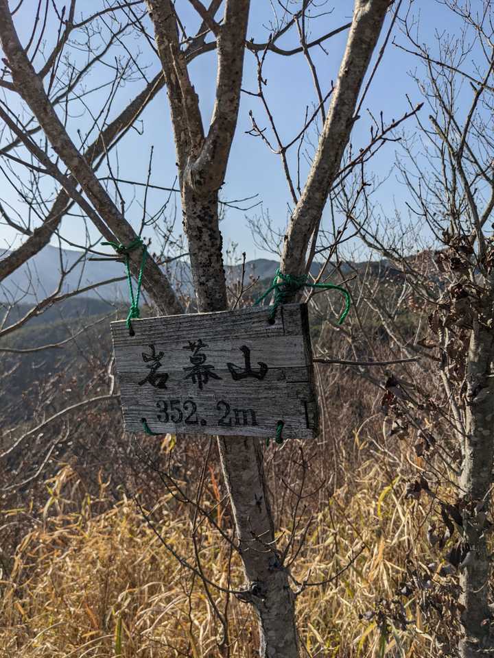 登頂！ついたよ！