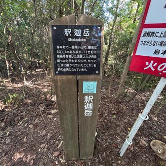 名前の由来が気になってたとこ☺️