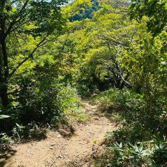 大倉山からはけっこうな下りがちょこちょこあるんですよねー😩
やっぱり今日も登りの方が全然ラクでした