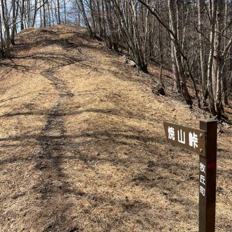 やっとルートに合流して一安心