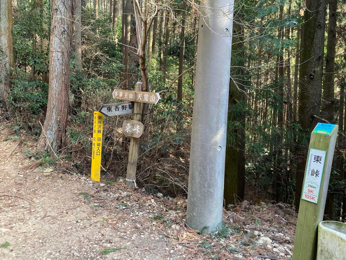 東峠。吾野と名栗方面の道を繋いでいるんだね。