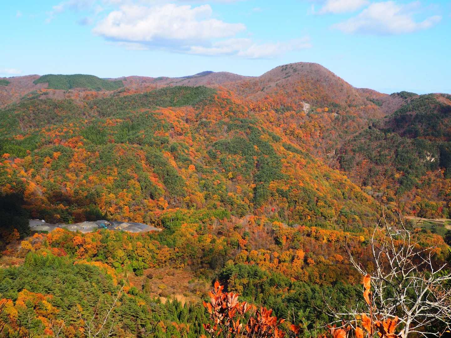 男神山 往復コースの写真