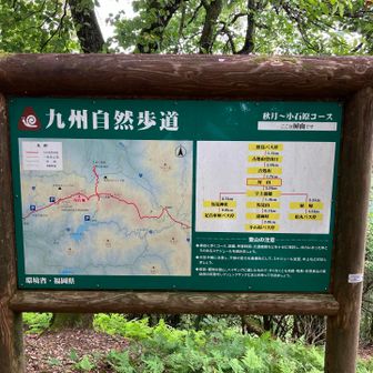 案内