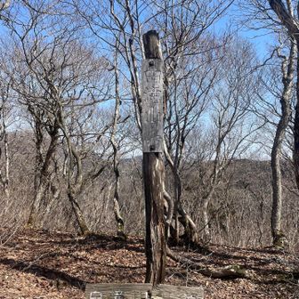 雪に気を取られ 通り過ぎて 戻って🤭

△🙌
ポカポカ陽気☀️✨
🍙休憩タイム☕️
