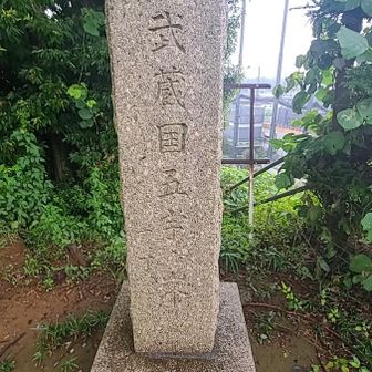 着きました⛰️ありがた山の山頂。
標高118ｍ(本日最高地点🤭)

ここに至る道は４つもありました
山頂に来て、初めて分かる。
そのうち２つが閉鎖中。

さっきの階段と、これから
降りる🪦墓地を抜けるルート、
その２つは、徒歩昇降が可能です