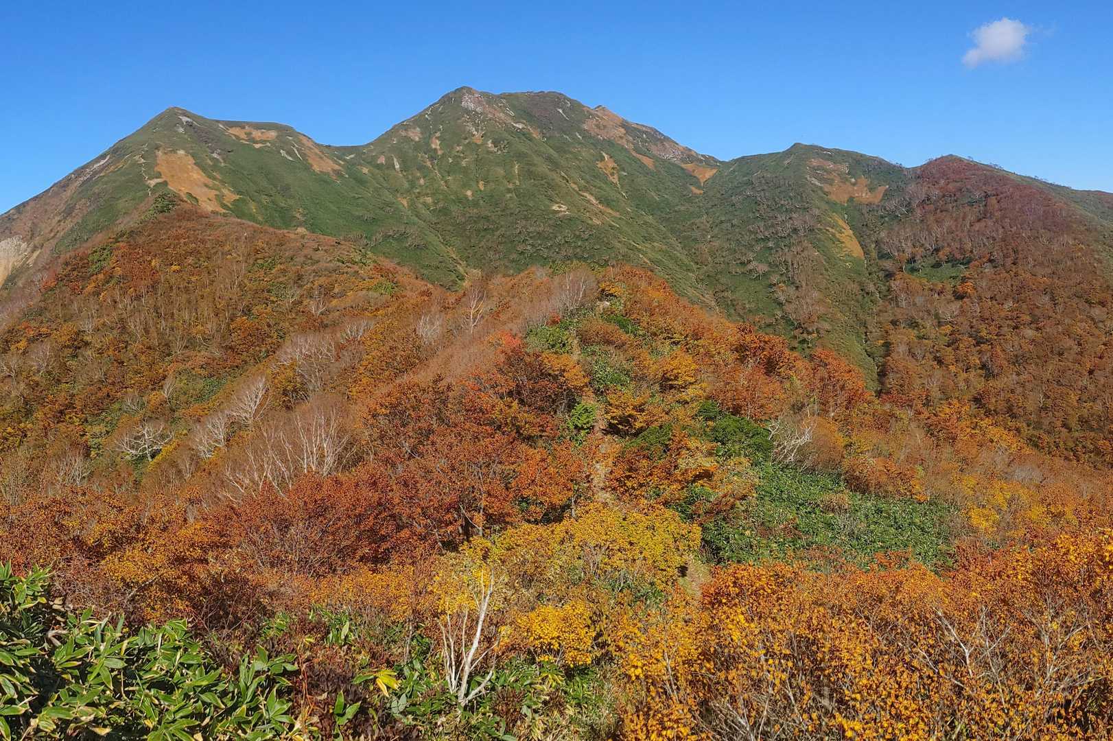 笠ヶ岳まで紅葉の道が続いている