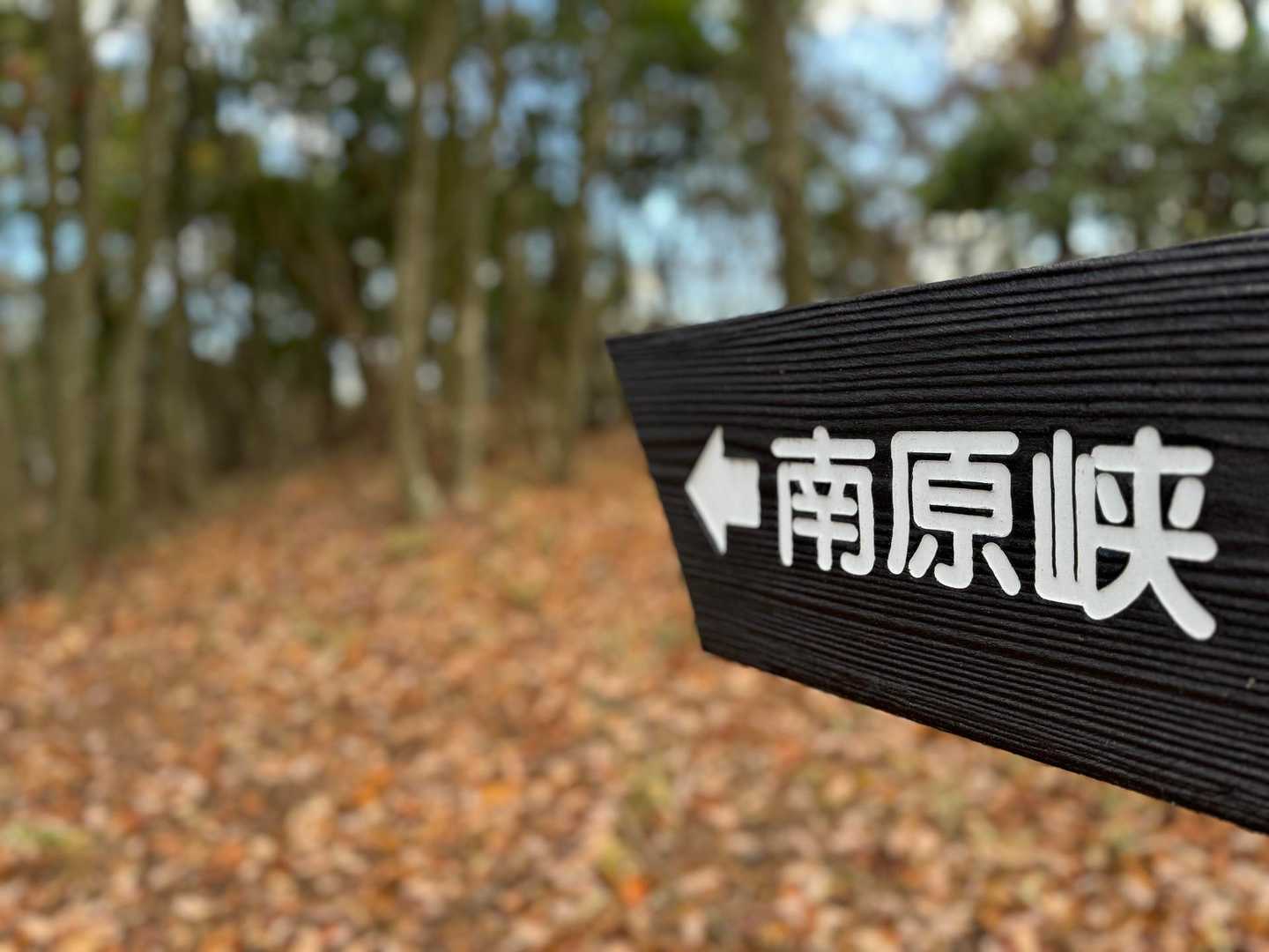 南原峡へ🖕