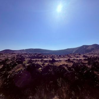 火口方面
火口展望台から